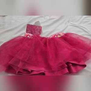 Disney Pink Princess Tutu Skirt NWT Pink Zinnia 2t